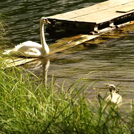 Homestay szállás Kalina Komorze