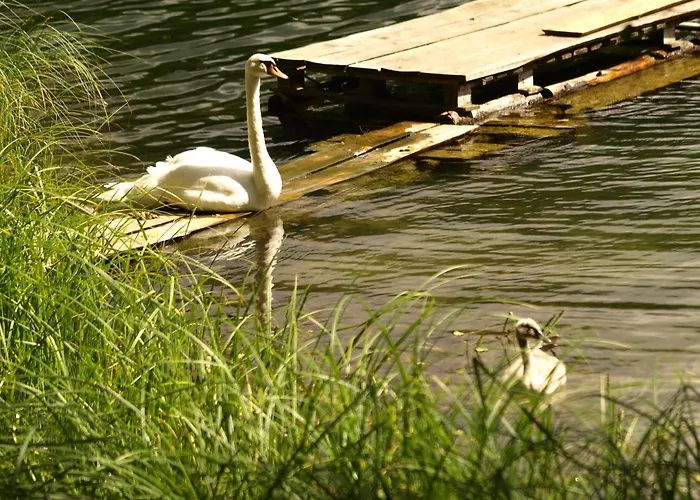 Habitación en casa particular Kalina Komorze